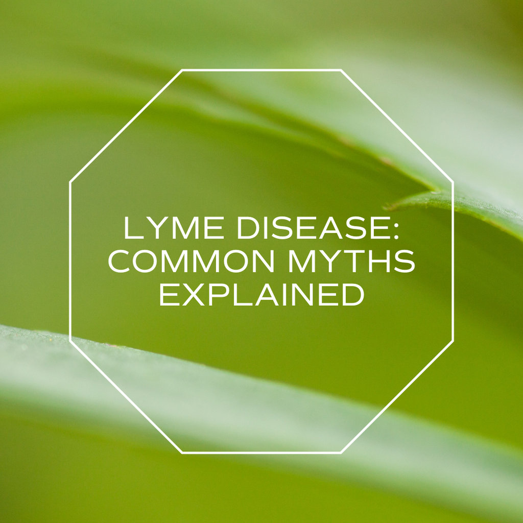 Evidence-Based Approaches to Supporting Lyme Disease and Co-Infections