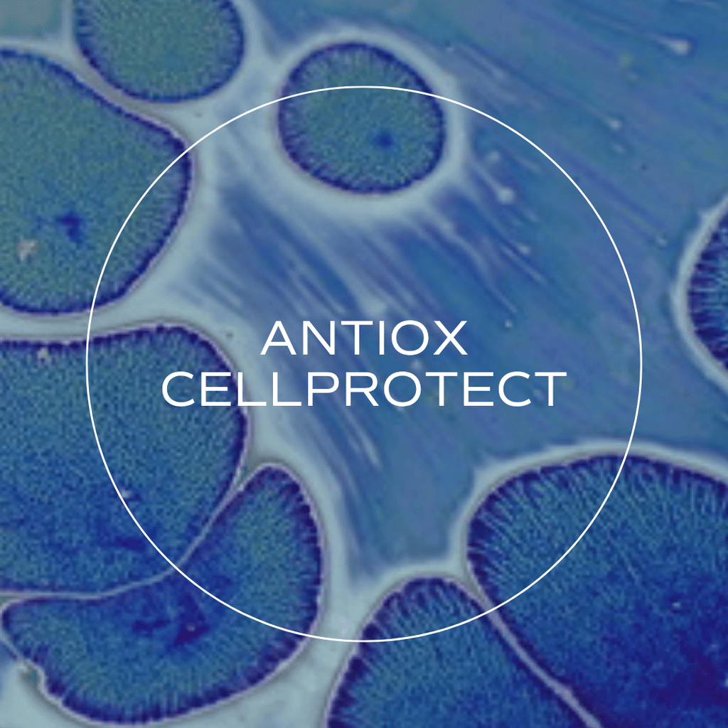the science behind antiox cellprotect