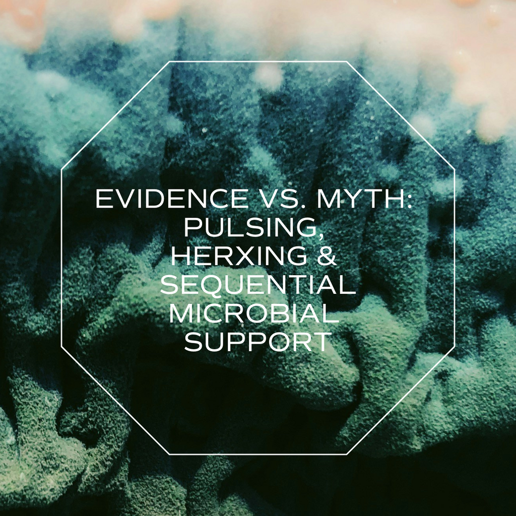 Evidence-Based Approaches to Supporting Lyme Disease and Co-Infections