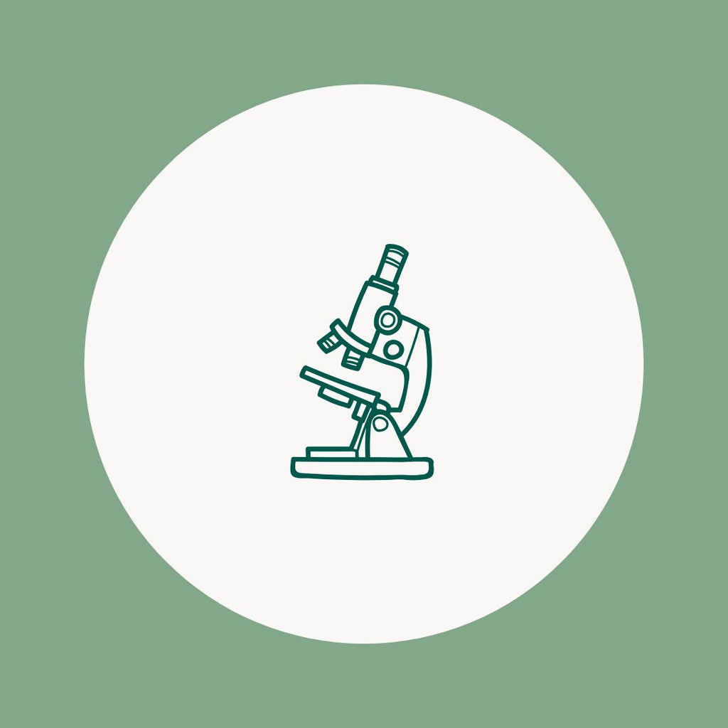 TBD protocol diagram - Lyme disease treatment support system