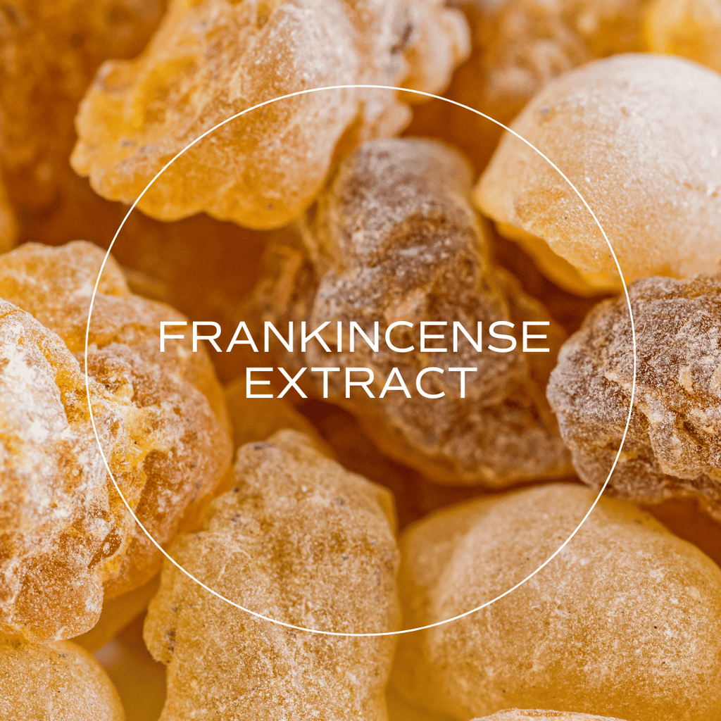 Frankincense Extract: Targeting Inflammation in Digestive Health