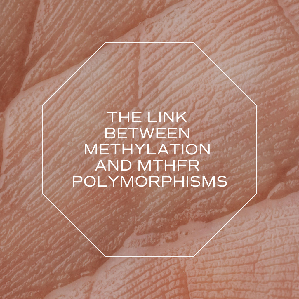 Understanding the Link Between Methylation and MTHFR Polymorphisms