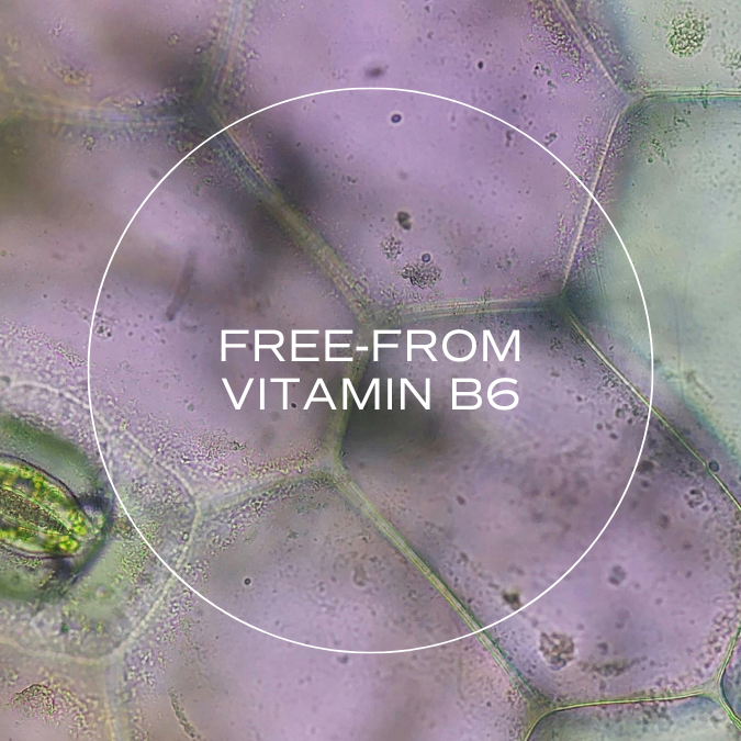 Why Are All MakeWell Products B6-Free?